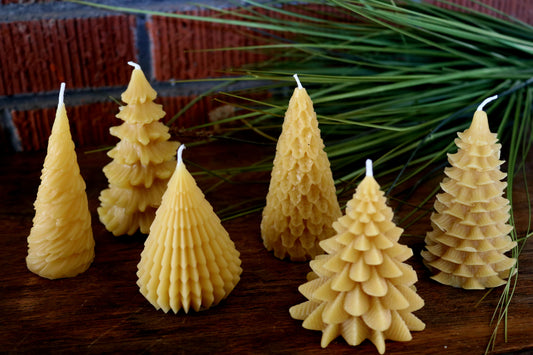 Complete Christmas Tree Candle Collection
