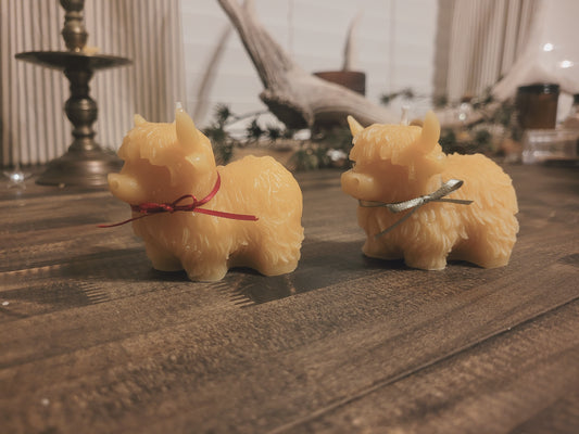 Honey the Highlander