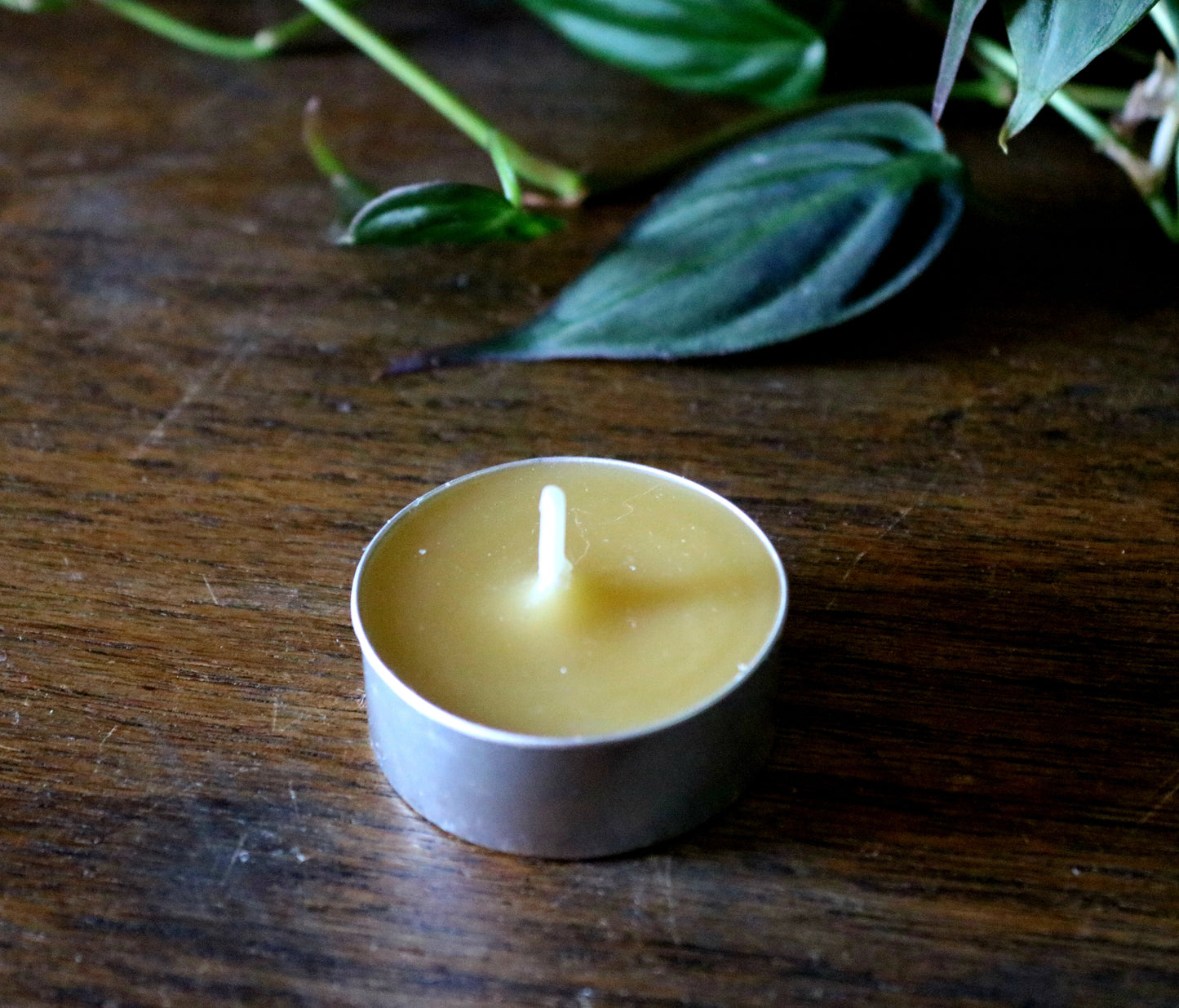 Beeswax Tea Light Candles