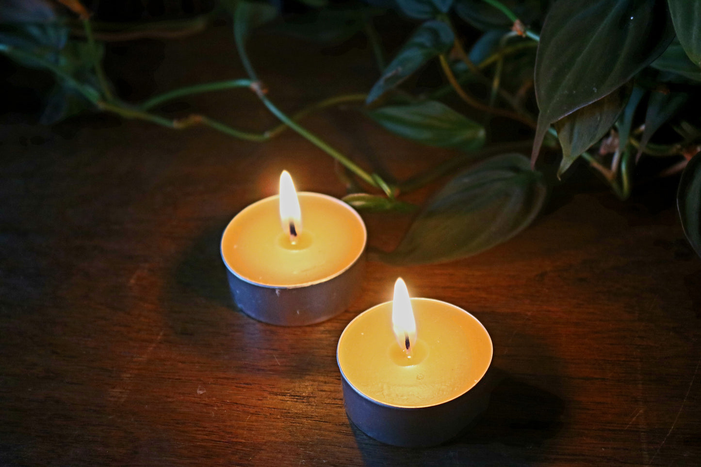 Beeswax Tea Light Candles